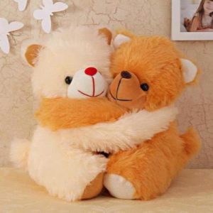 two teddies hugging