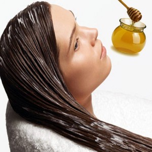 Shea Butter Conditioner, Rosemary Rinse, Chamomile Shampoo, Aloe vera Hair Spray
