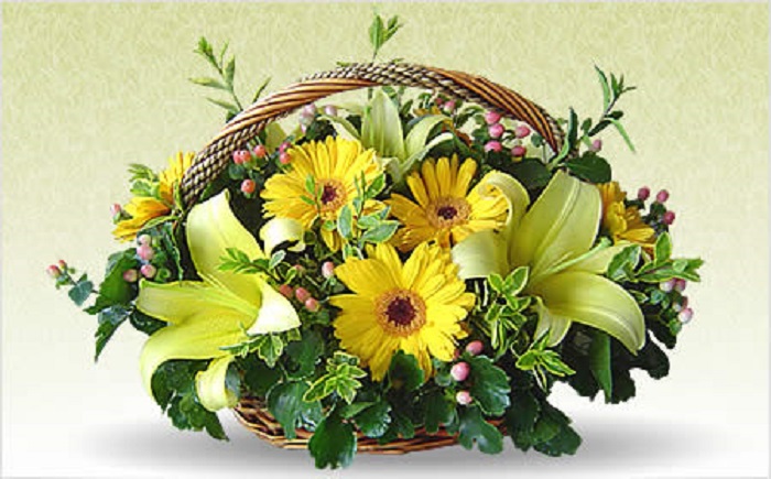 Immense Significance Of Gifting Flowers And What They Give To Us 
