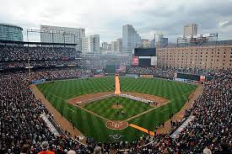 Fan Assaulted at Orioles Game