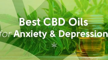 Dealing With Pain and Anxiety? Here’s How to Choose the Best CBD Oil for Your Ailment